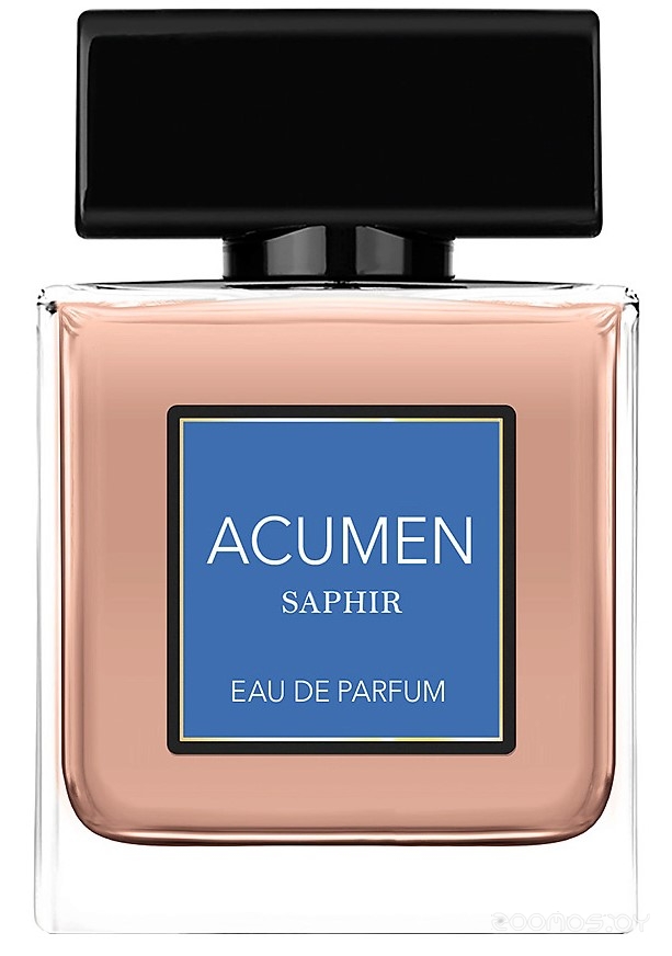 Вода парфюмерная для мужчин 100мл Acumen Saphir 015770