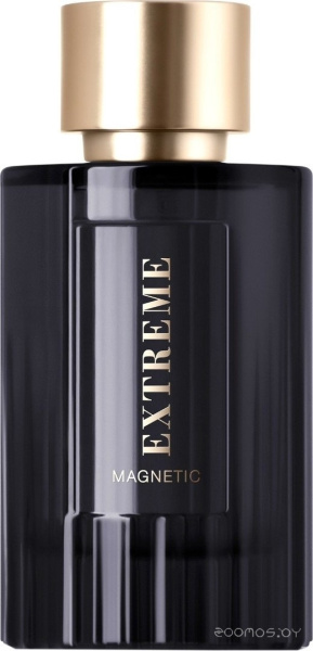 Вода парфюмерная 100мл для мужчин Extreme Magnetic 018979