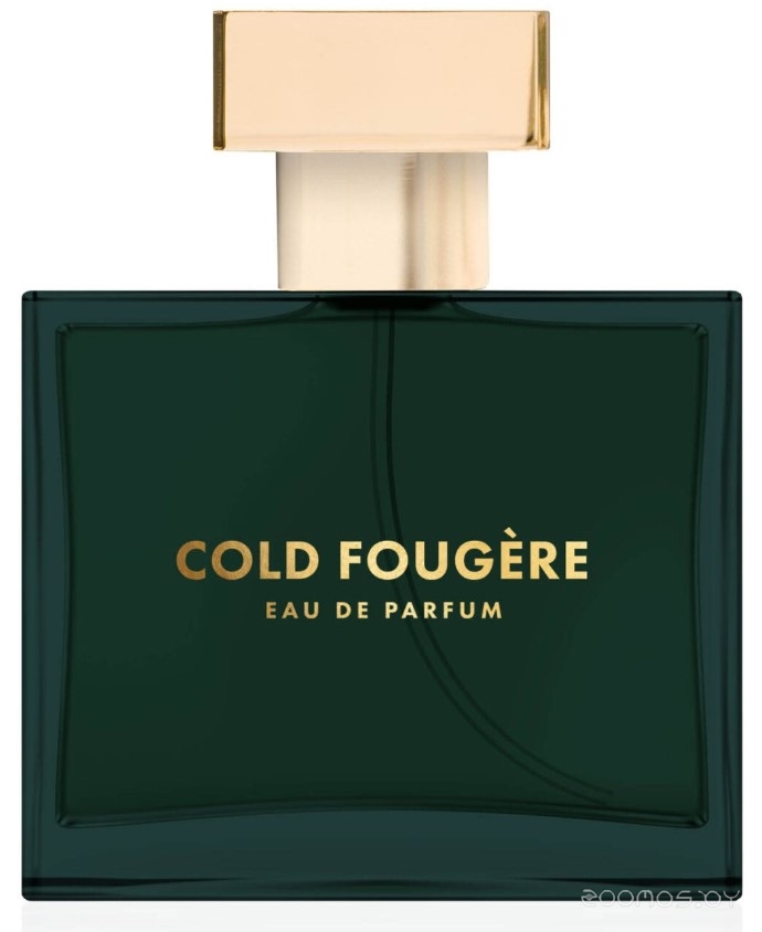 Вода парфюмерная для мужчин 75мл Cold Fougere 017217