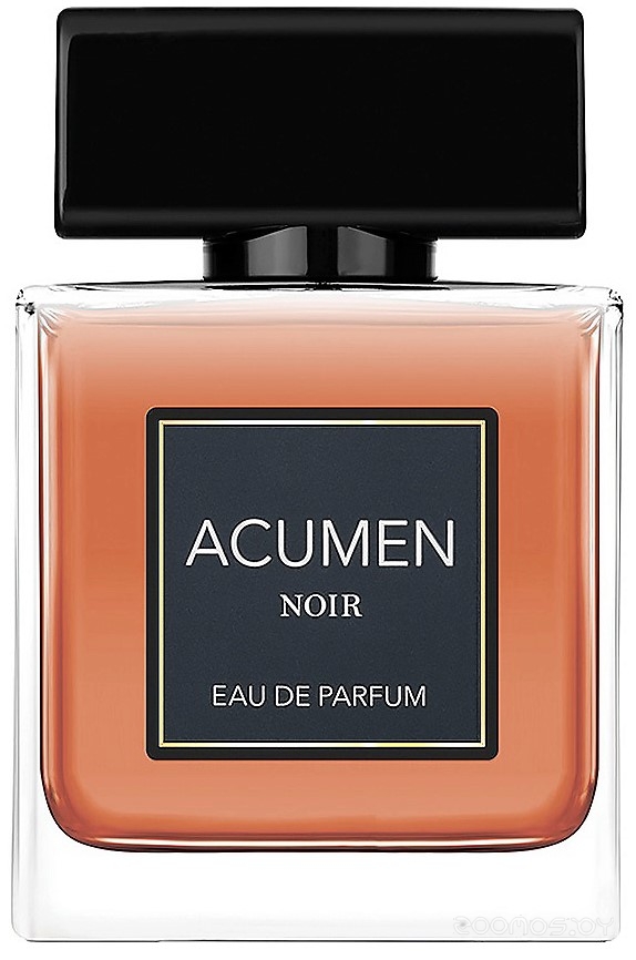 Вода парфюмерная 100мл Acumen Noir Экьюмэн Нуар 015459
