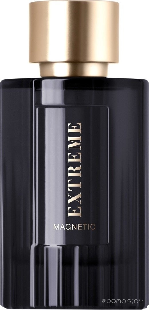 Вода парфюмерная 100мл для мужчин Extreme Magnetic 018979