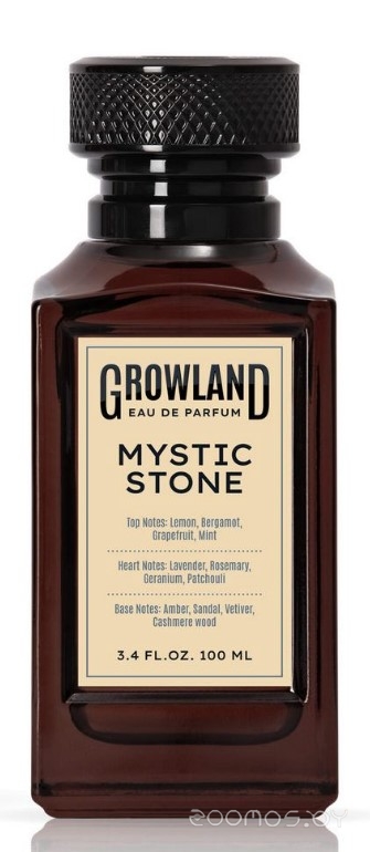 Вода парфюмерная 100мл для мужчин Mystic Stone 021993