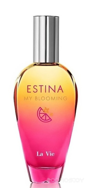 Вода парфюмерная 50мл для женщин Estina My Blooming 016036