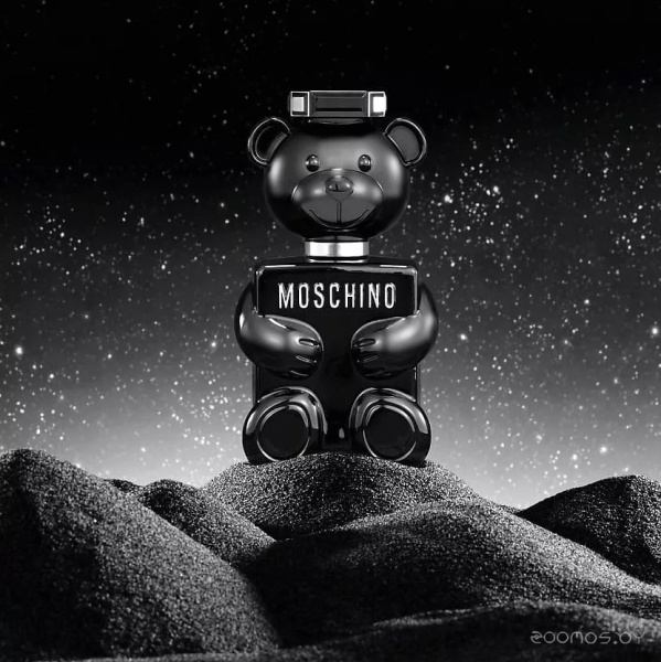 Вода парфюмерная 50мл Mos-Moschino Boy 6W08