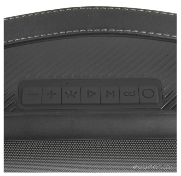 Аудиосистема портативная SOUNDMAX SM-PS5081B SM-PS5081B черный
