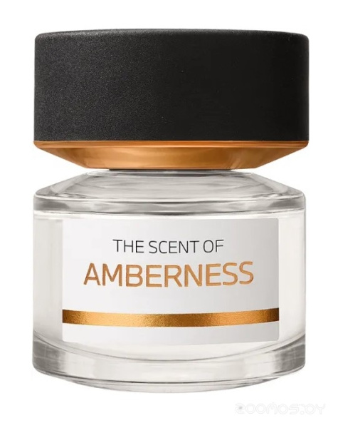 Вода парфюмерная 50мл AMBERNESS BMW