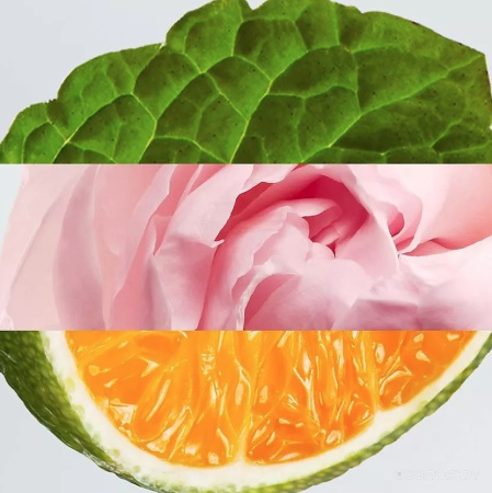 Вода парфюмерная 100мл LACOSTE L.12.12 ROSE 149211