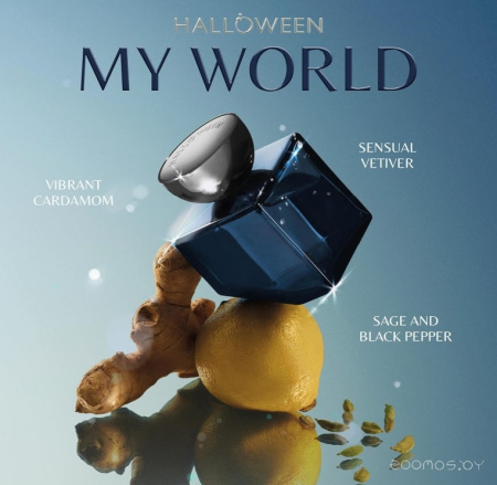 Вода парфюмерная 125мл MY WORLD HALLOWEEN 01007